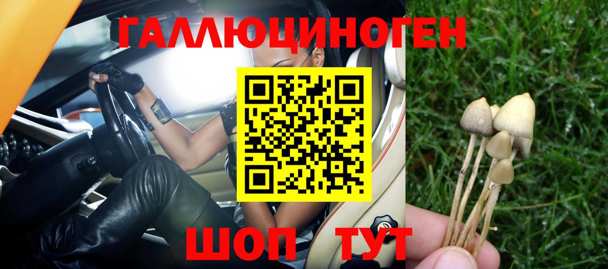 Галлюциногенные грибы Magic Shrooms Берёзовский